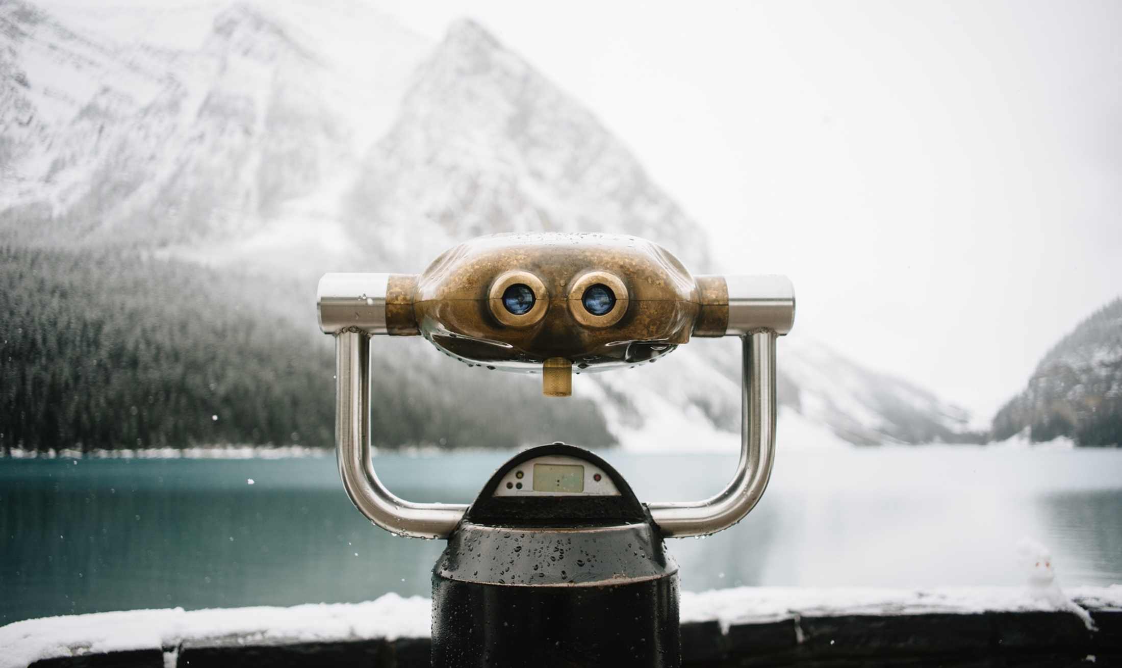 What To Expect From Affiliate Marketing 2020